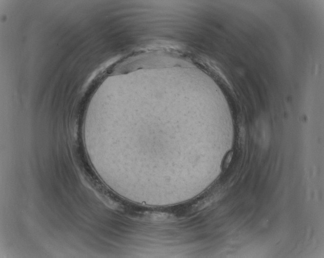 X0000084050539200703161859