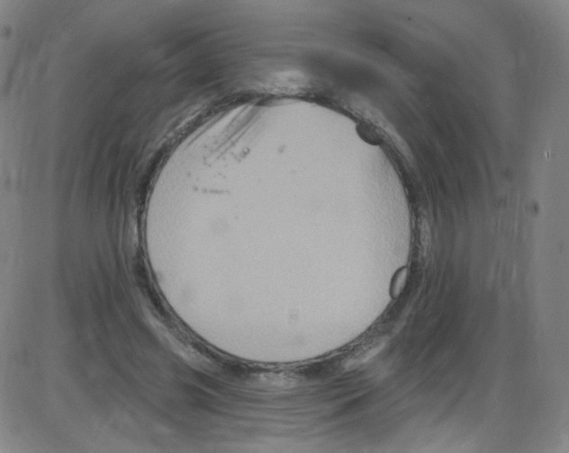 X0000084050541200703161859