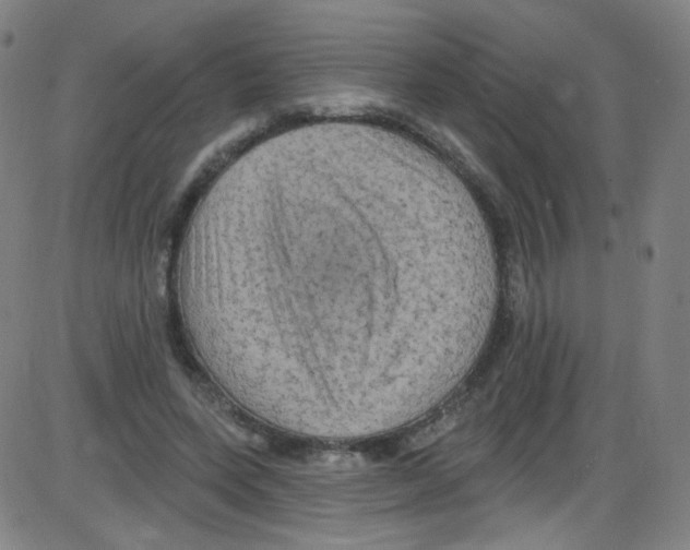 X0000084050543200703161859