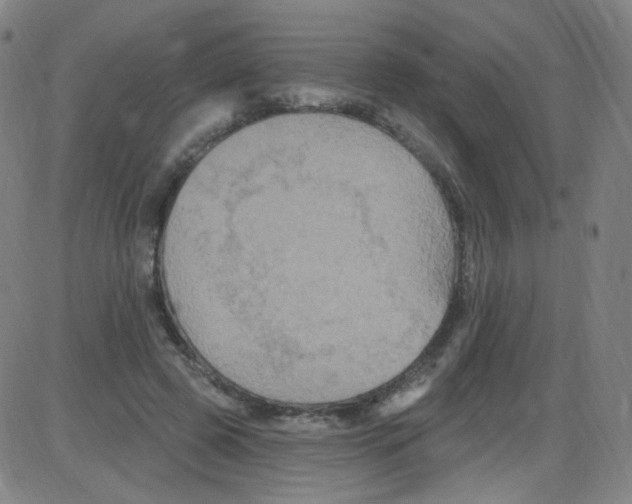 X0000084050545200703161859