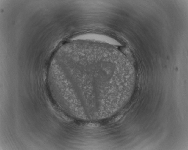 X0000084050546200703161859