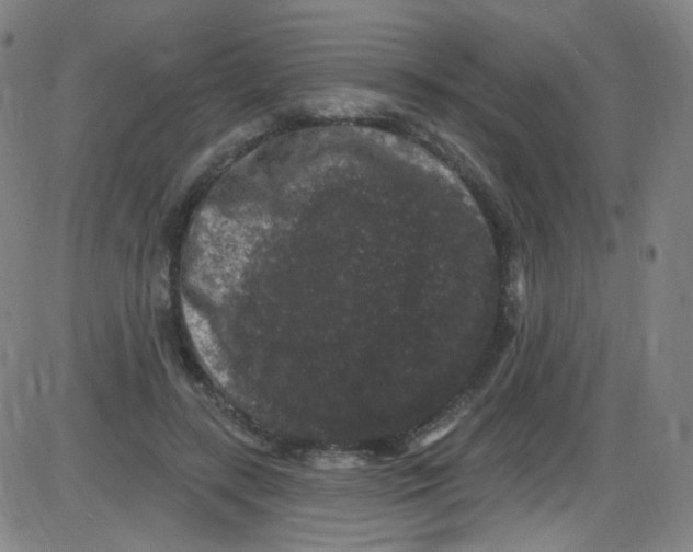 X0000084050547200703161859