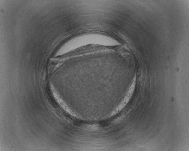 X0000084050548200703161859