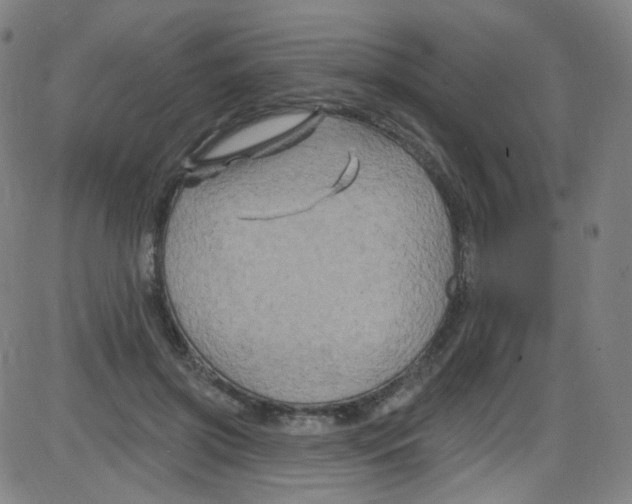 X0000084050549200703161859