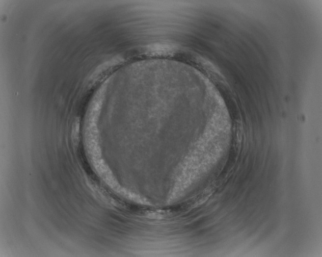 X0000084050550200703161859