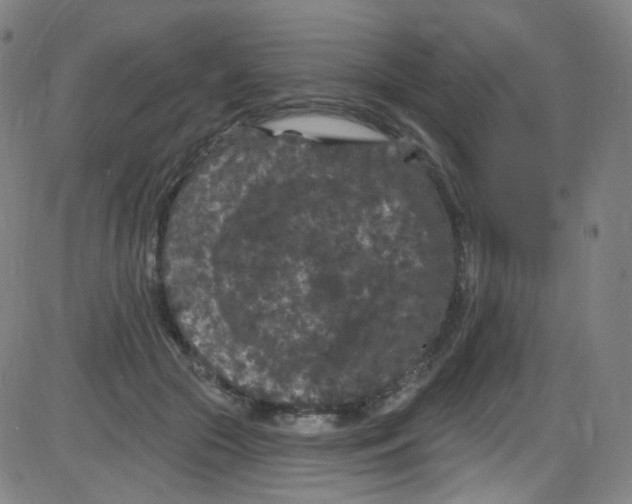 X0000084050553200703161859