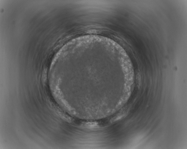 X0000084050554200703161859