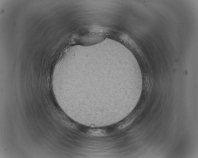 X0000084050557200703161859