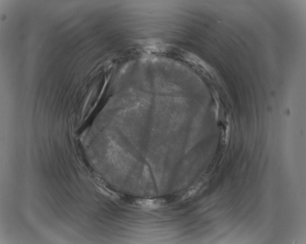 X0000084050558200703161859