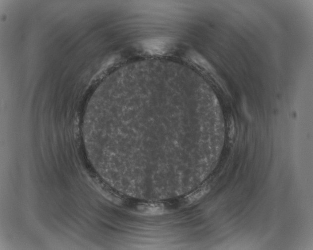 X0000084050559200703161859