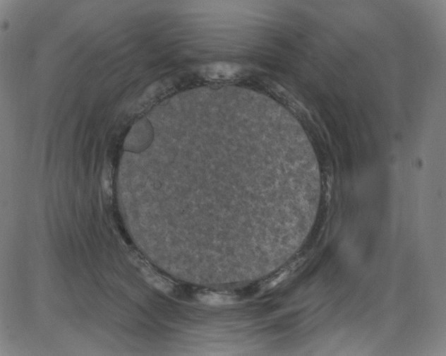 X0000084050561200703161859