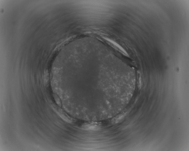 X0000084050563200703161900