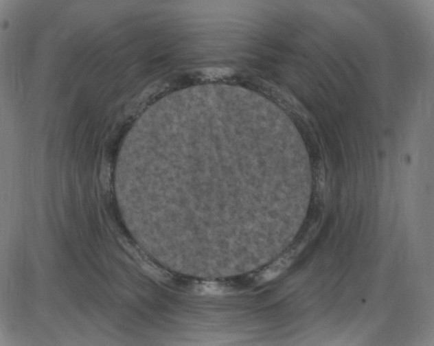 X0000084050565200703161900