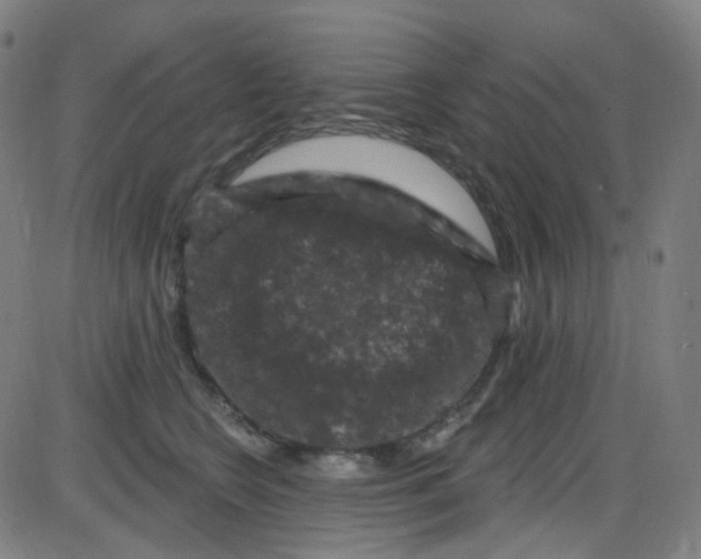 X0000084050566200703161900