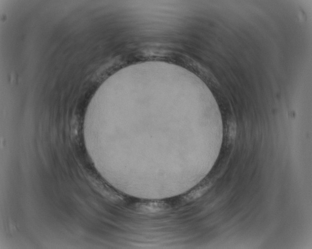 X0000084050567200703161900