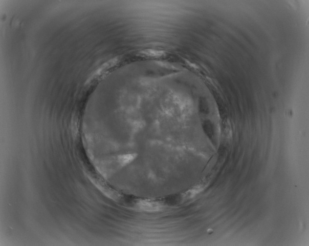 X0000084050568200703161900