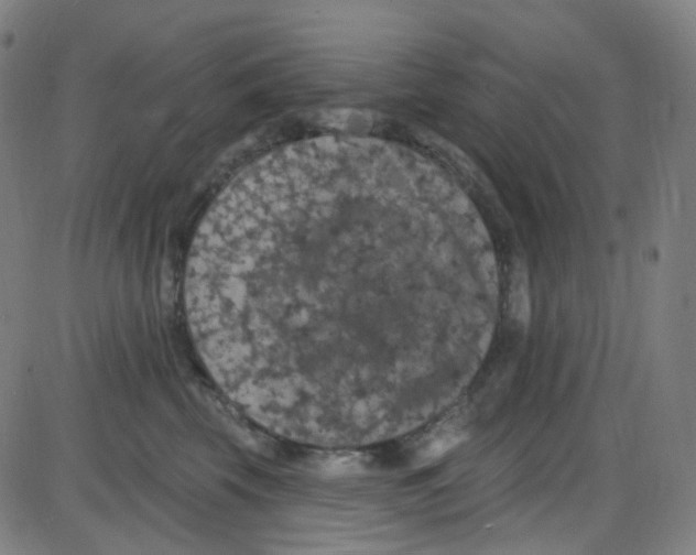 X0000084050569200703161900