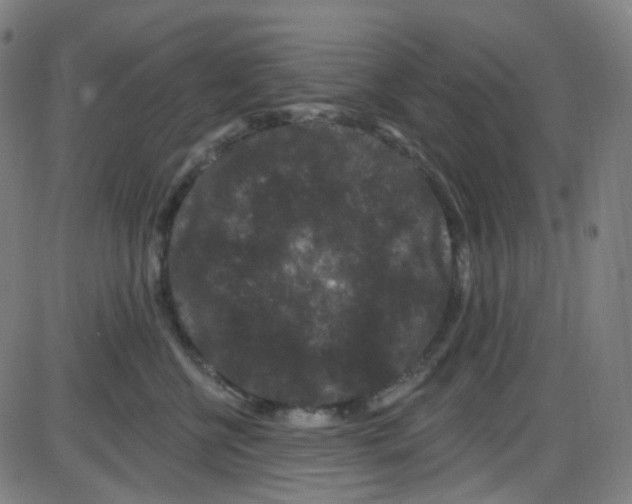 X0000084050570200703161900