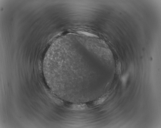 X0000084050571200703161900