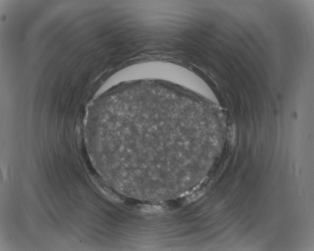 X0000084050572200703161900