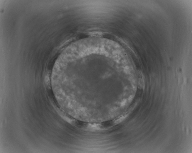 X0000084050573200703161900