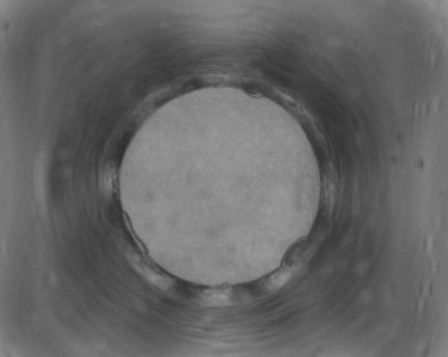 X0000084050574200703161900