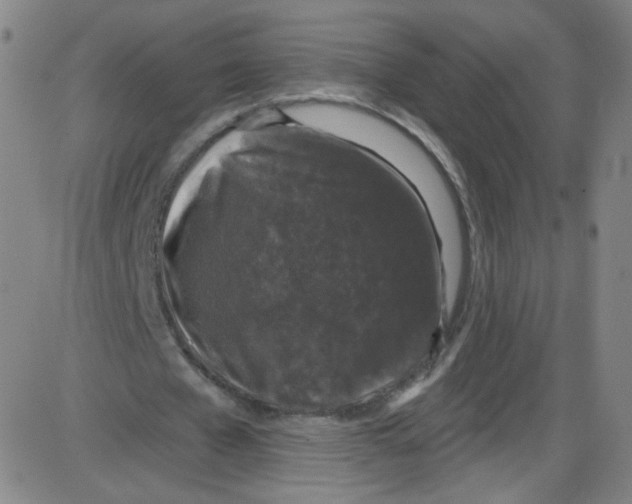 X0000084050577200703161859