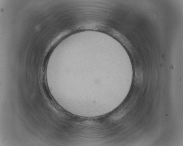 X0000084050578200703161859