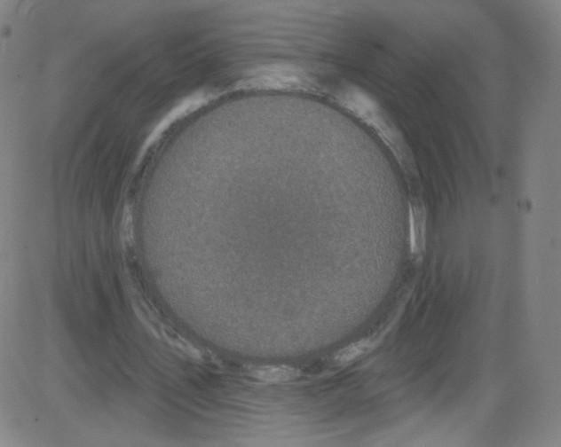 X0000084050579200703161859