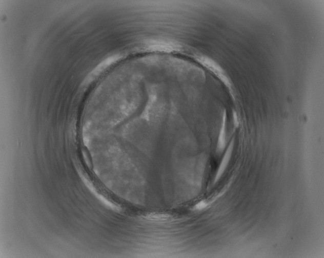 X0000084050581200703161859