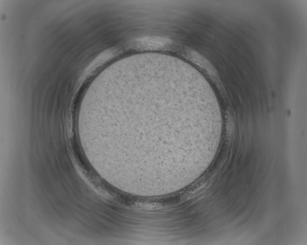 X0000084050582200703161859