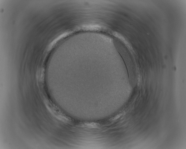 X0000084050583200703161859