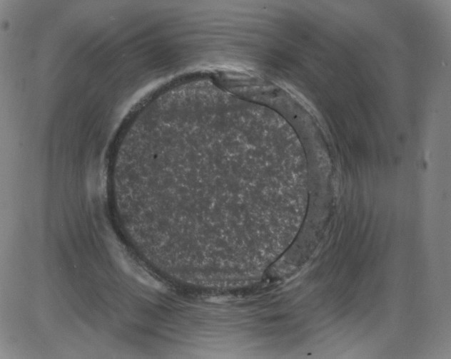 X0000084050584200703161859