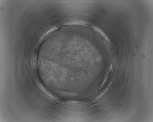 X0000084050585200703161859