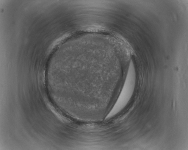 X0000084050589200703161859