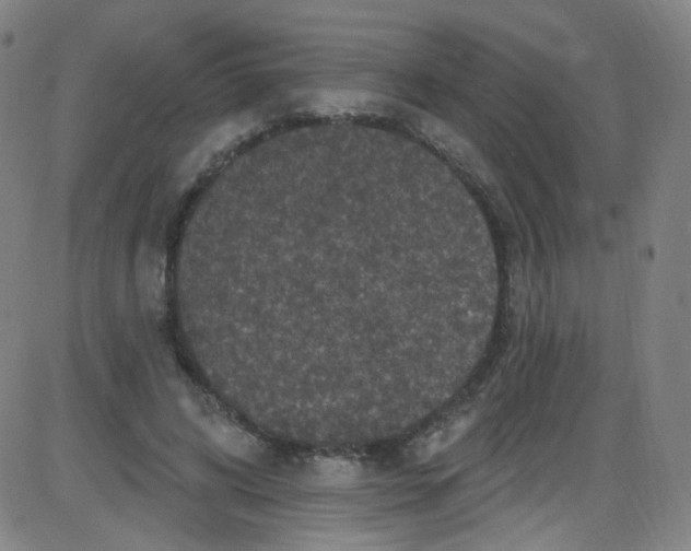 X0000084050592200703161859