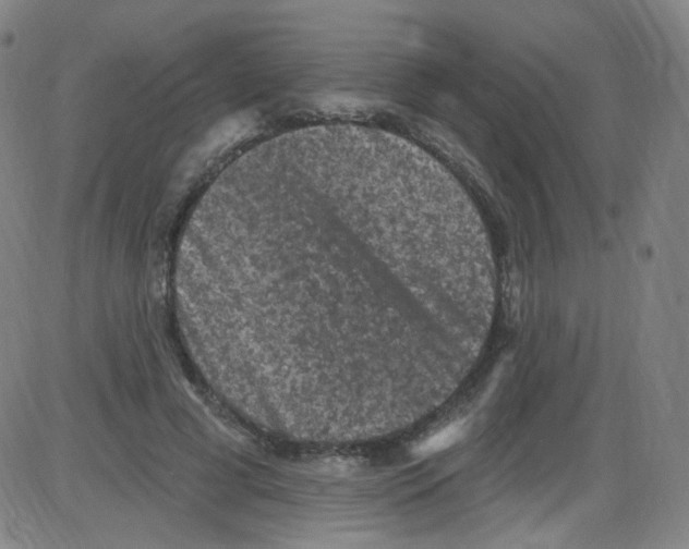 X0000084050593200703161859