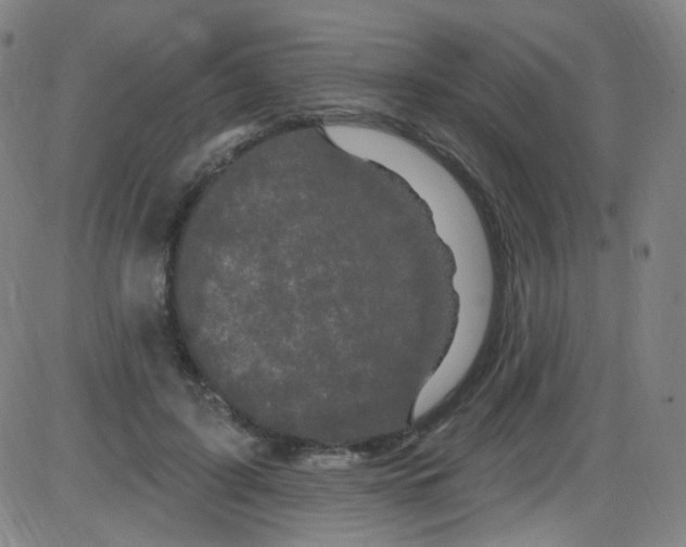 X0000084050595200703161859