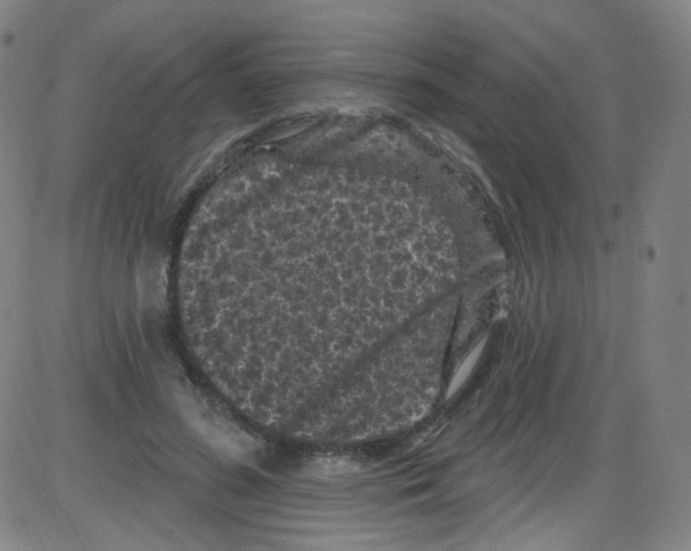 X0000084050596200703161859