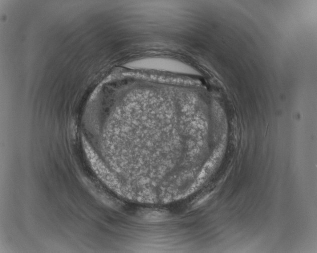 X0000084050597200703161859