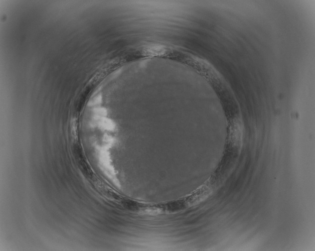 X0000084050598200703161859