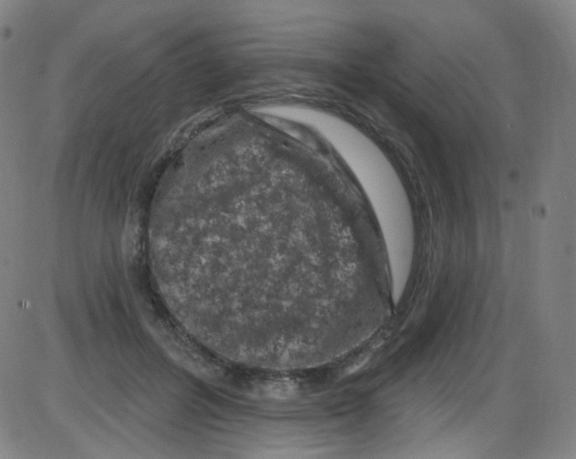 X0000084050600200703161859