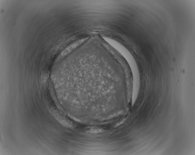 X0000084050601200703161859