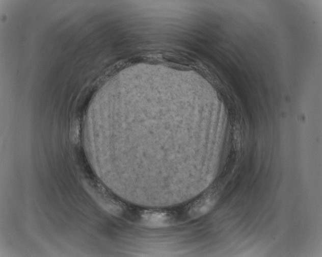 X0000084050602200703161859