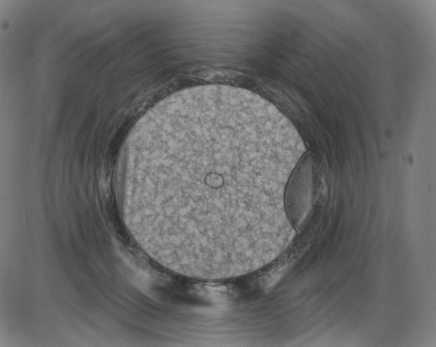 X0000084050607200703161858