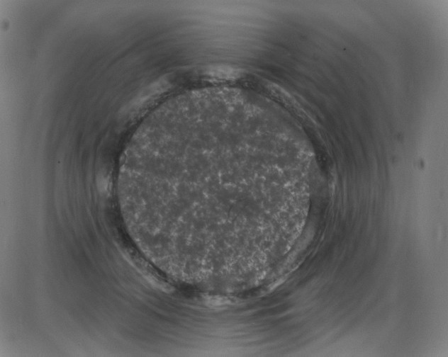 X0000084050608200703161858