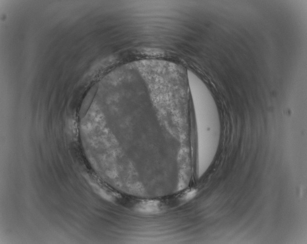 X0000084050609200703161858