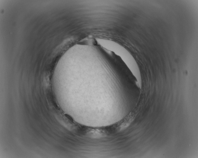 X0000084050611200703161858