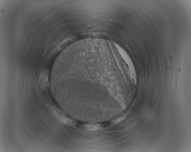 X0000084050615200703161858