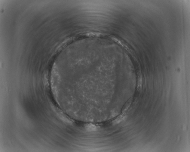 X0000084050616200703161858